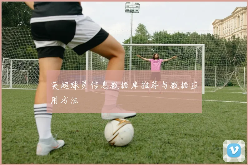 英超球员信息数据库推荐与数据应用方法