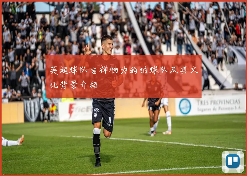 英超球队吉祥物为狗的球队及其文化背景介绍