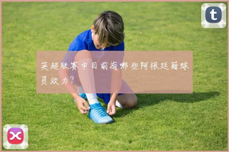 英超联赛中目前有哪些阿根廷籍球员效力？